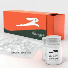GenUP™ Total RNA Kit 250